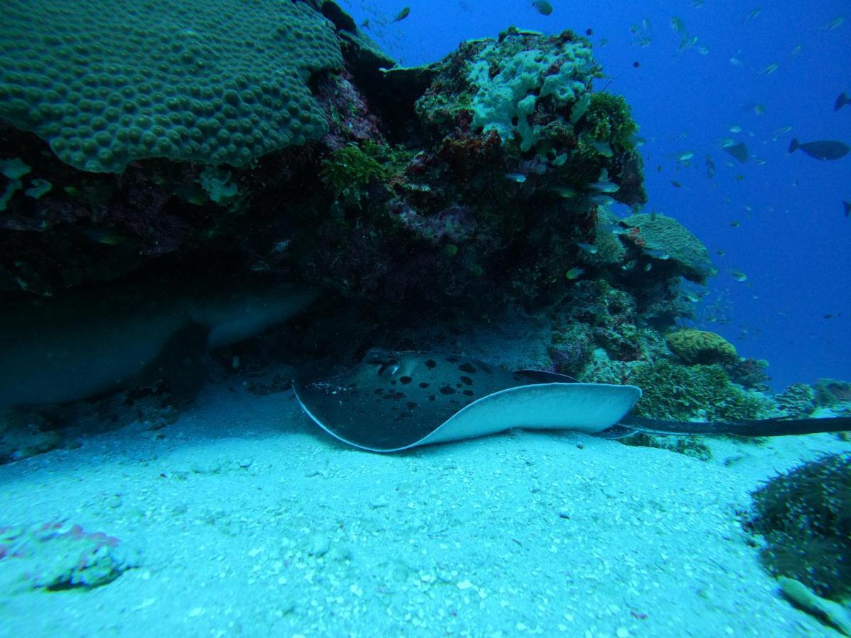 هانغناميدهو Coral Beach Maldives المظهر الخارجي الصورة